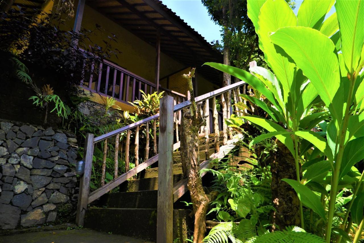 Swar Bali Lodge Munduk Exterior foto