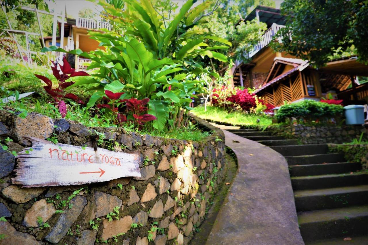 Swar Bali Lodge Munduk Exterior foto